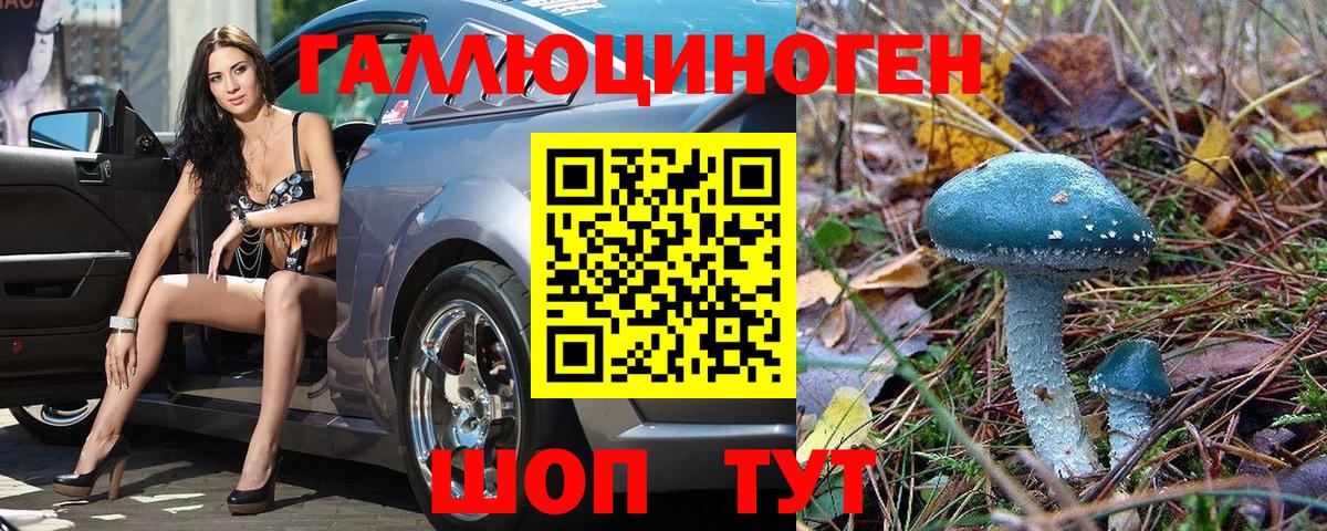 Галлюциногенные грибы Psilocybine cubensis Ногинск
