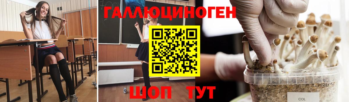 Ногинск  Галлюциногенные грибы ЛСД  цены наркотик  Вход с VPN 
