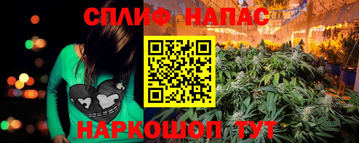 Бошки Шишки семена Ногинск